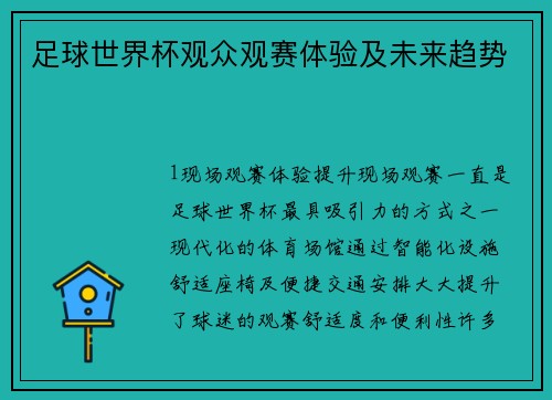 足球世界杯观众观赛体验及未来趋势